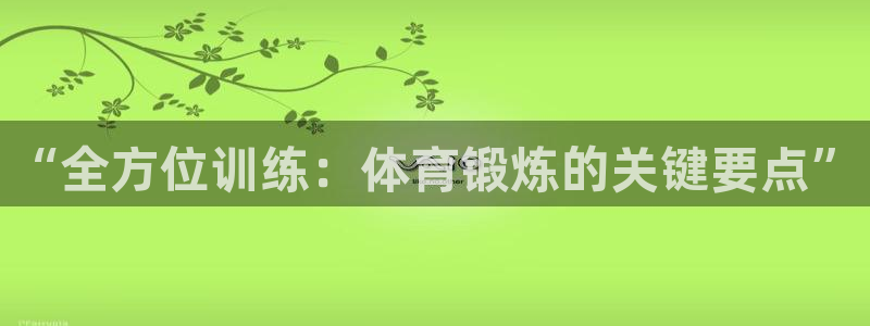 五星体育篮球培训