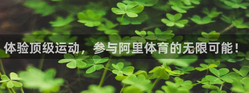 哪里可以看五星体育：体验顶级运动，参与阿里体育的无限可能！