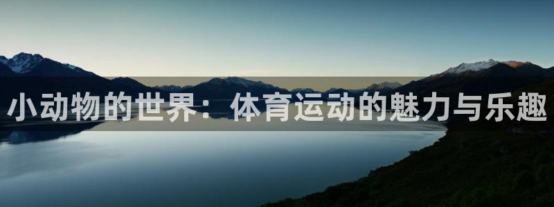 五星体育一起耍大牌：小动物的世界：体育运动的魅力与乐趣