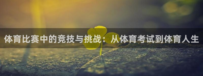 五星体育女主持