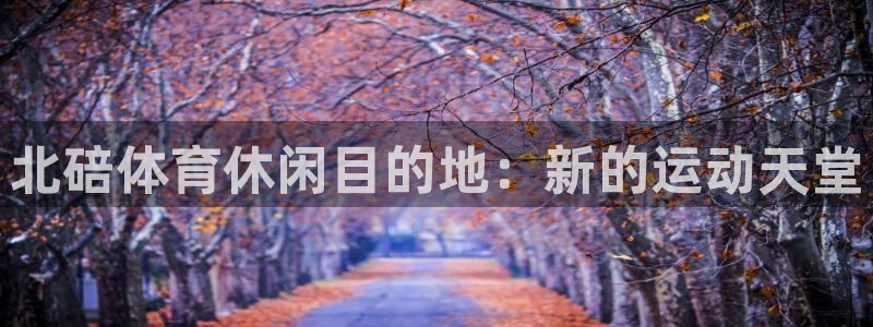 五星体育解说