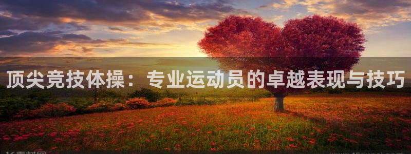 在线观看五星体育：顶尖竞技体操：专业运动员的卓越表现与技巧