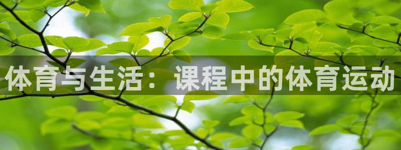 五星体育篮球培训价格：体育与生活：课程中的体育运动